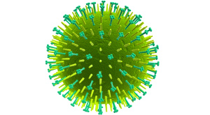 вирус гриппа H1N1