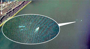 фото Google Earth, на котором якобы запечатлено лохнесское чудовиже