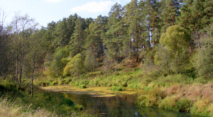 река Маглуша