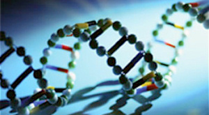 схематичное изображение молекулы ДНК