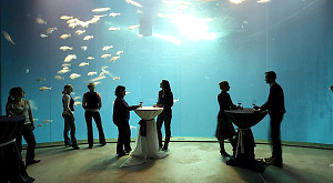 буфет музея-аквариума «Ozeaneum»