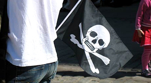 Пиратская партия Швеции