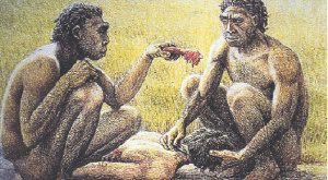Homo antecessor обедают собратом