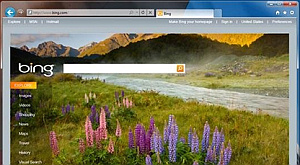 скриншот с интерфейсом Internet Explorer 9