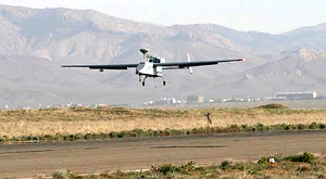 Bird-Eye 400