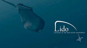 скриншот заглавной страницы LIDO