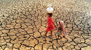 засуха в Индии