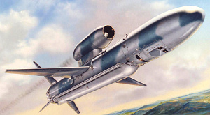ракета Nirbhay