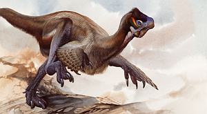 Китайские динозавры мерзли и обрастали перьями