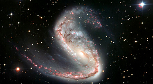 галактика NGC 2442