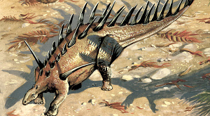 Kentrosaurus aethiopicus