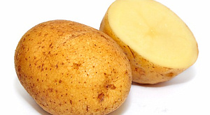 картофель