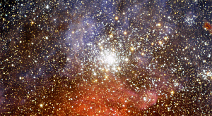 звездное скопление NGC 2100