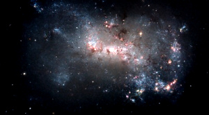 карликовая галактика NGC 4446