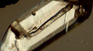 кристал циркона под микроскопом