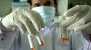 Голландские ученые усовершенствовали вирус птичьего гриппа