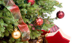 Новогодние елки вредны для здоровья Новогодние елки вредны для здоровья