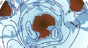 Антарктическое циркумполярное течение