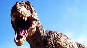 Tyrannosaurus rex 
