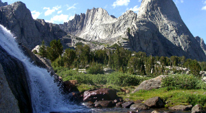 Таяние ледников вредит биоразнообразию водных экосистем