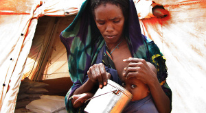 У голодных матерей чаще рождаются девочки