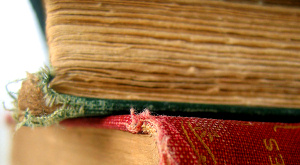 Физики смогли назвать причины желтения бумаги