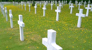 Пребывание на кладбище полезно для здоровья Пребывание на кладбище полезно для здоровья