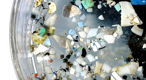 Масштабы загрязнения океана пластмассой недооценены
