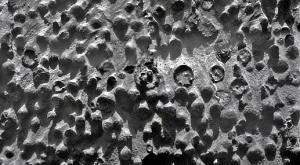 Opportunity 