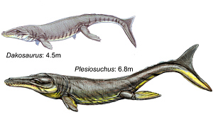 Plesiosuchus и Dakosaurus