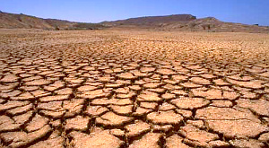 Климатологи переоценили глобальный рост засухи