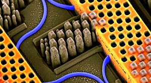на микрофотографии чипа IBM оптические волноводы выделены синим, а медный шлейф обозначен желтым