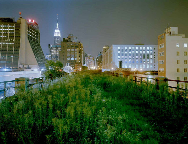 «Висячие сады» в Нью-Йорке (30 фото)