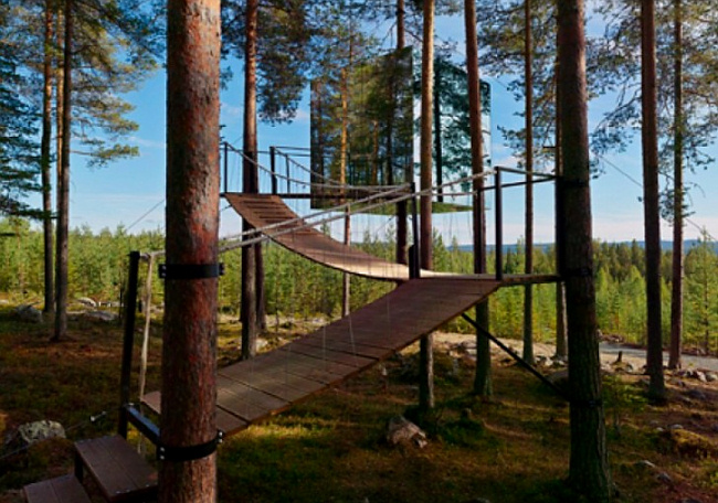 Шведский отель на деревьях