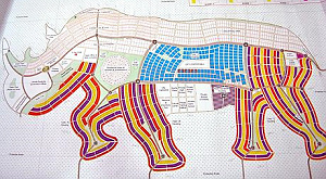 проект Rhino City
