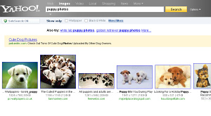 скриншот страницы поиска по изображениям Yahoo!
