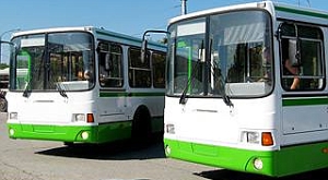 автобусы