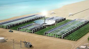 один из эскизов проекта Sahara Forest Project