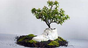 OAT Shoes