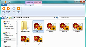 скриншот Windows 8