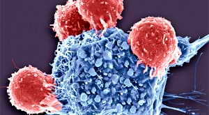 раковая клетка и Т-лимфоциты