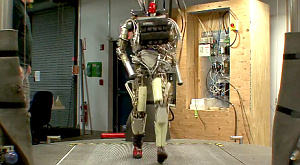 PETMAN