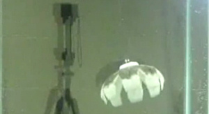 Robojelly