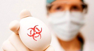Эксперименты с гриппом прекращены из-за опасности биотерроризма
