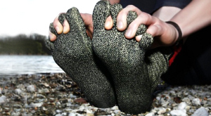 Swiss Protection Sock