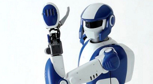 KAWADA HRP-4