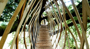 Treehouse Dartmoor