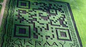 QR-код из Альберты