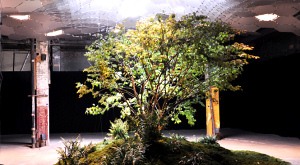 часть выставки «Imagining the LowLine»