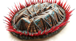 физическая модель Protobalanus spinicoronatus